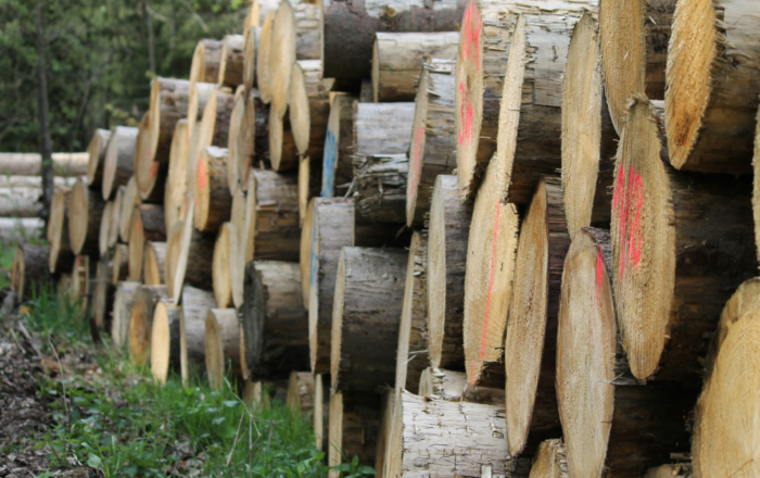 logs