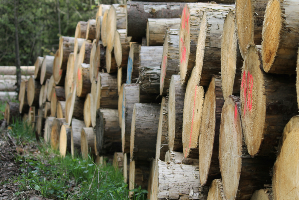 logs