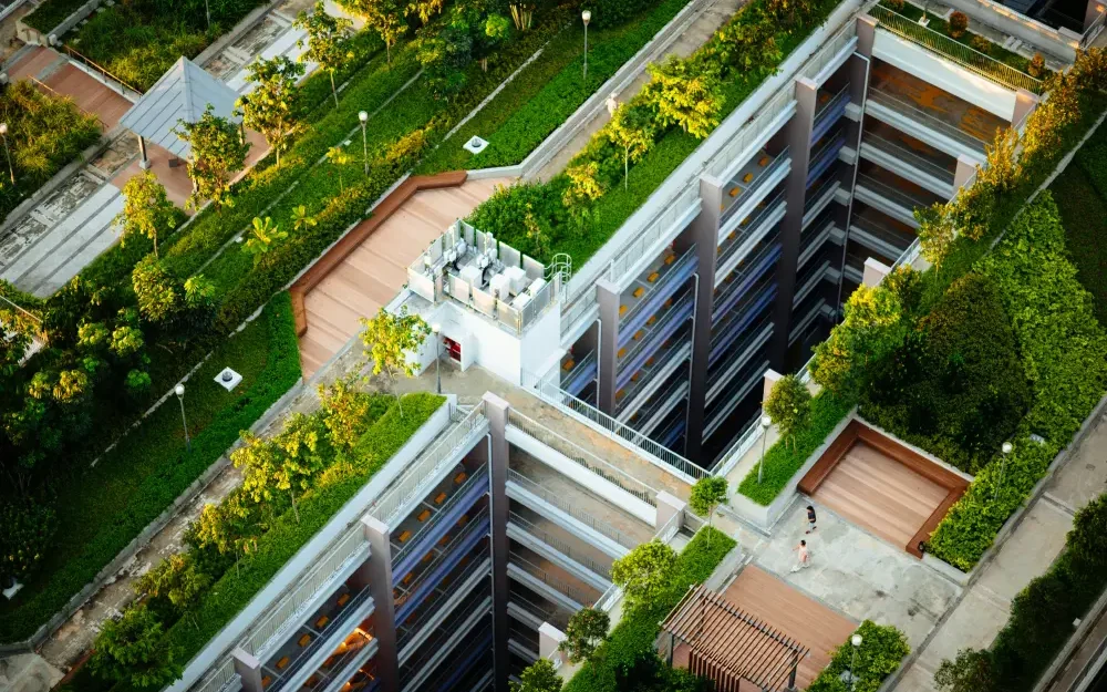 green roof