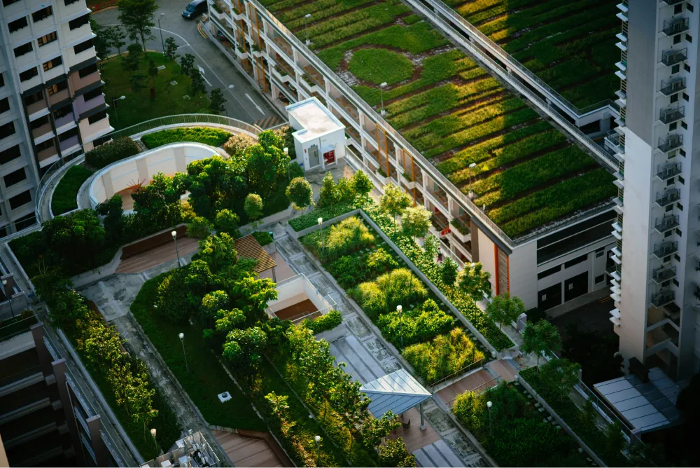 living roof