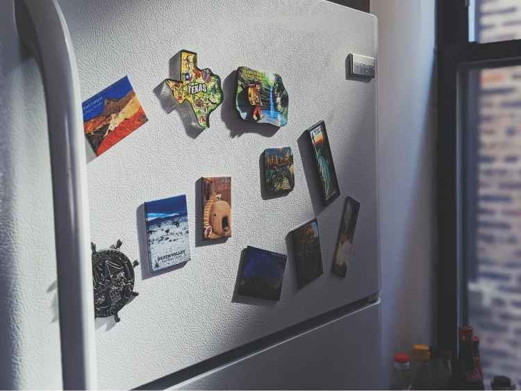 refrigerator with texas magnet
