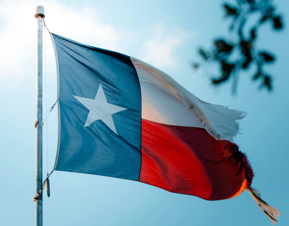 texas flag