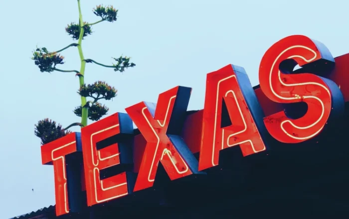 texas neon sign