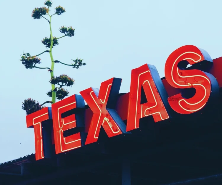texas neon sign
