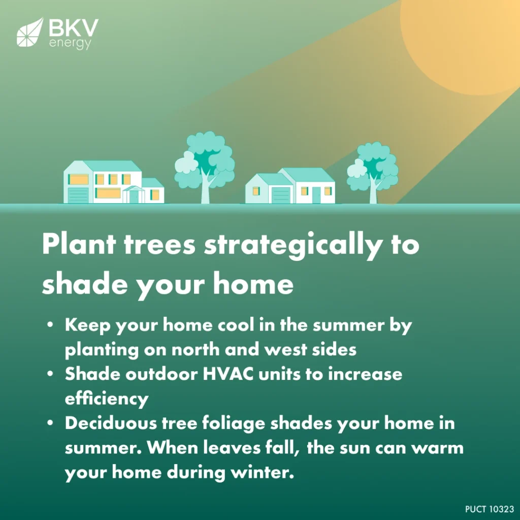 energy efficient landscaping with shady trees helps keep your home cool during the summer