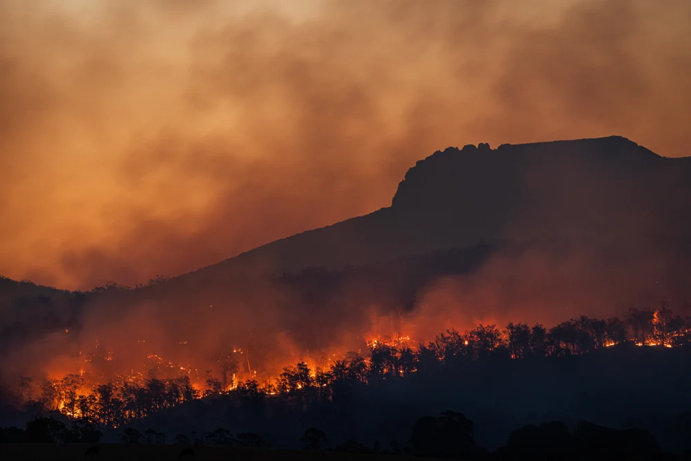 wildfires